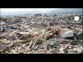 Japon - El Numero de Victimas Mortales se eleva a 5000