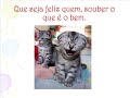 Natal de Luz.wmv