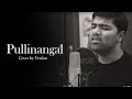Pullinangal | 2.0 | Cover | Venkat | A.R.Rahman |