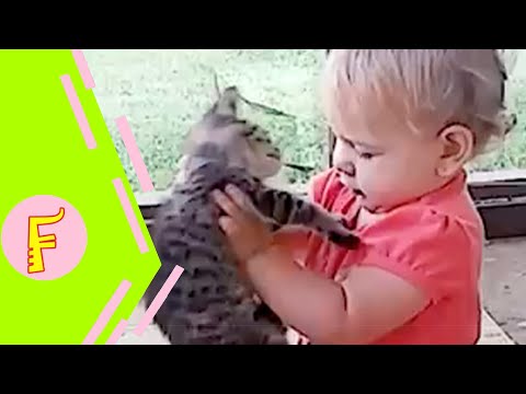 Baby and Cat Fun and Cute #8 - Funny Baby Video