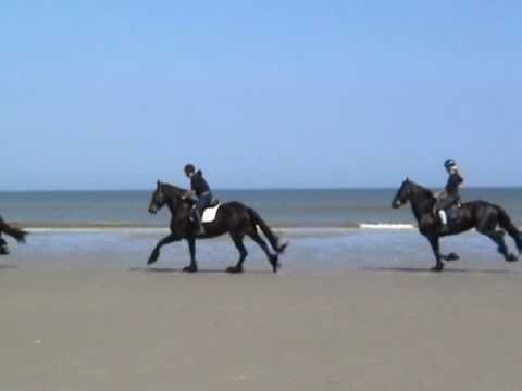See video