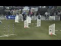 AKC Invitational, Long Beach, 12-13-09, Hybrid, Round 4