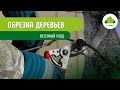 Обрезка деревьев Весенний уход