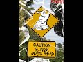 Dj Mash- Electro/House mix