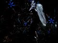 Final Fantasy XII Victory Theme