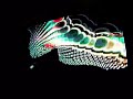 ELECKTRODOMESTIC - Imagine Dreans remix by VJ CREC