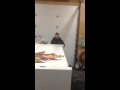 Zamboni Guy - Singer At HRM Oval