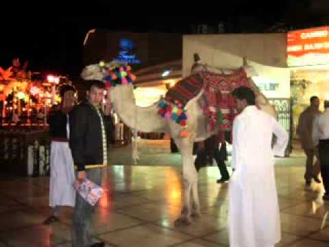 0 Lugares para visitar en Naama Bay