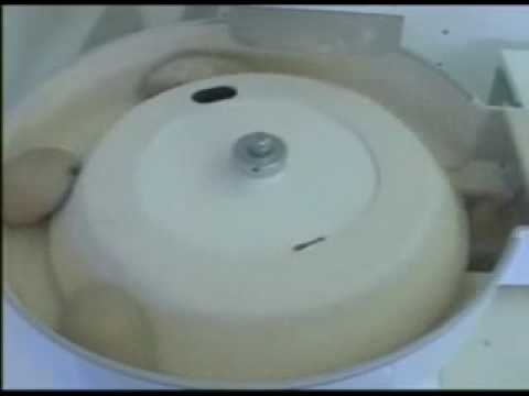Bread Line | UNIVERSAL Eberhardt C Video Image
