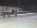 luli al suelo luli al suelo