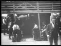 emigrants landing at ellis island emigrants landing at ellis island