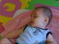 videos de Tycho Haggman - The Big Giggle