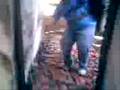 videos de Fantasma en la casa de tintan