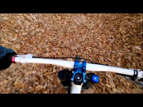 Gravity Guy 2 (exclusive), Chaos Rings, Temple Run, Fling Theory And More Arrives Coming To WP8