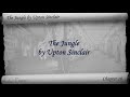 Chapter 16 - The Jungle by Upton Sinclair