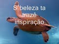 Paulino Vieira - 'm Cria Ser Poeta