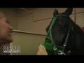 Kelly Harness Races Against Loopers at Hawthorne