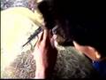 Shadow puppet making workshop in Surakarta, Indonesia