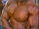 On eBay: Big Muscle, Big Biceps, Big Pecs!