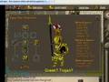 The New Runescape