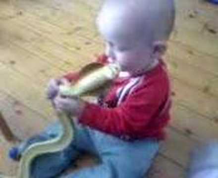 Baby with cobra
