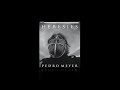 Heresies - Pedro Meyer (English)