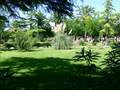 Lucera