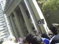 Marcha anti vivisección/experimentación animal