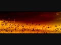 Epic Score - This is our land