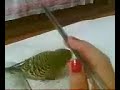 benim o?lum �ok tatl? yaaaaa