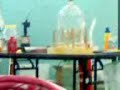 physicz in our skoool
