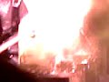 Killerpilze in Poland-23.08 [3]