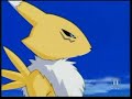 Digimon Tamers - Chinesisch Digimon Tamers - Chinesisch