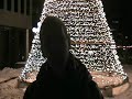 searlesworld - 2008 introduction