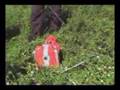 Ballon Balloon helium high altitude haute BRAQ VE2WMG