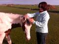 Jason 9 maanden