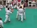 Karate: Rottura di tavole Tameshiwari