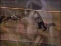 Greyhound Racing - The Dogs - Chris Cronin