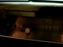 interior-casino-par-s-las-vegas-.html