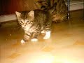 She died to young :(