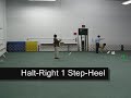 Hyattsville Dog Training Club
