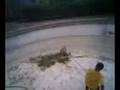 videos de Journey cleaning dirty swimming pool