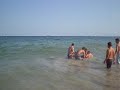 delfino playa d\ delfino playa d\