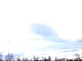 Pitts loops and rolls