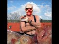 Het Vleeskind - woei de wind waait Het Vleeskind - woei de wind waait