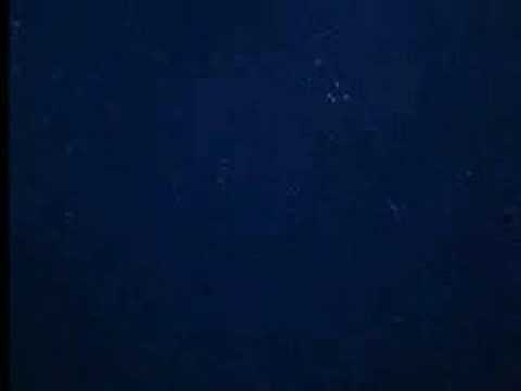 Jellyfish Invasion -  Deep Sea ...