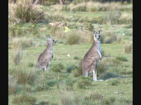 how to discover australia