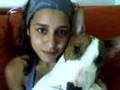 BULLTERRIER: Nerón, POLACO DE PERACHO