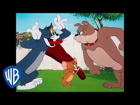 Tom & Jerry | Classic Cartoon Compilation | Tom, Jerry, & Spike | WB Kids
