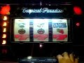 �I�A�V�X ����u�ԁ`��7�����܂�(KC